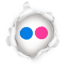 flickr-profil